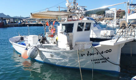 www.pescaturismomallorca.com excursiones en barco en Mallorca con Hispaniola