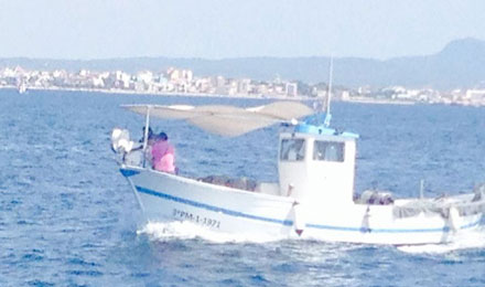 pescaturismomallorca.com excursiones en barco en Mallorca con Hermanos